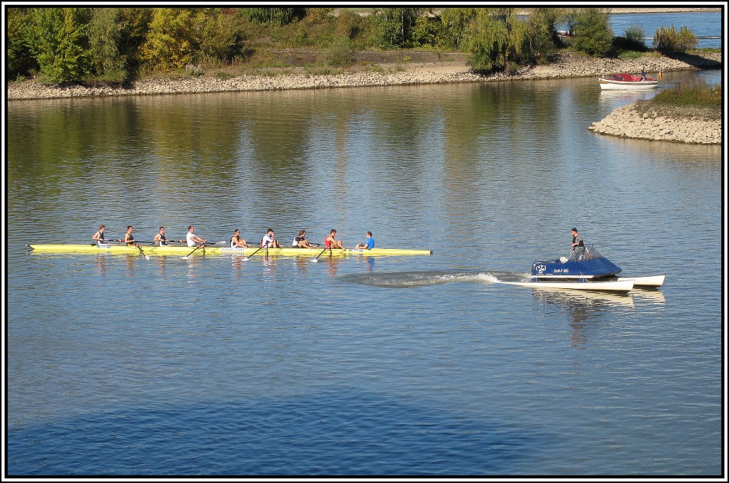 Ruder-Training (?) im Dsseldorfer Medienhafen, beobachtet am 10.10.2010.