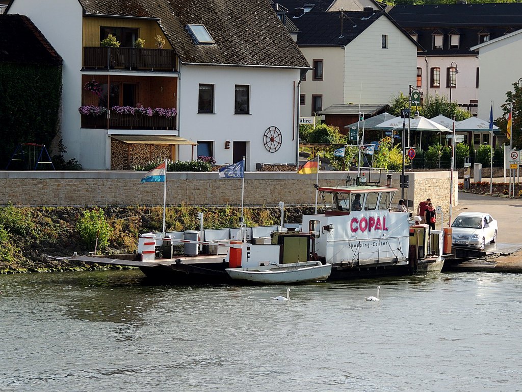 SANKTA-MARIA(04808970)steht am Ufer der Mosel bei Oberbillig zur Beladung bereit; 120825