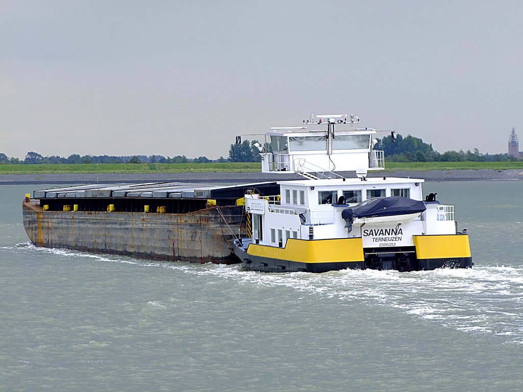 SAVANNA II(2320353; L=22; B=11mtr; 2x750PS; Bj.1974)ist auf der Westerschelde Richtung Antwerpen unterwegs;110830