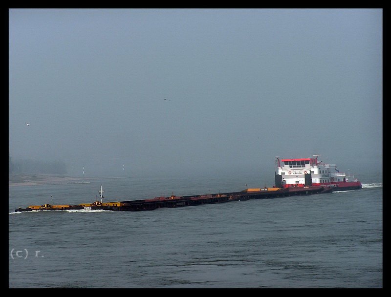 SB  Veerhaven II - Narwal  aus Rotterdam, ENI 02316303; ex  EWT 107 ; Baujahr 1981; 3 x 1800 PS; Foto von 2005