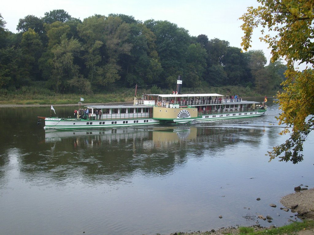 Schaufelraddampfer  Pillnitz  vor/hinter dem Schloss Pillnitz am 01.10.2012