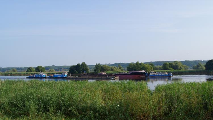 Schgiffsbegegnung Schubboote Dommil 2 und Dommil 3 und Bizon 117 am 17.07.13 um 7:45 Uhr in der Oder bei Bienenwerder, Fahrt in Richtung Frankfurt/Oder