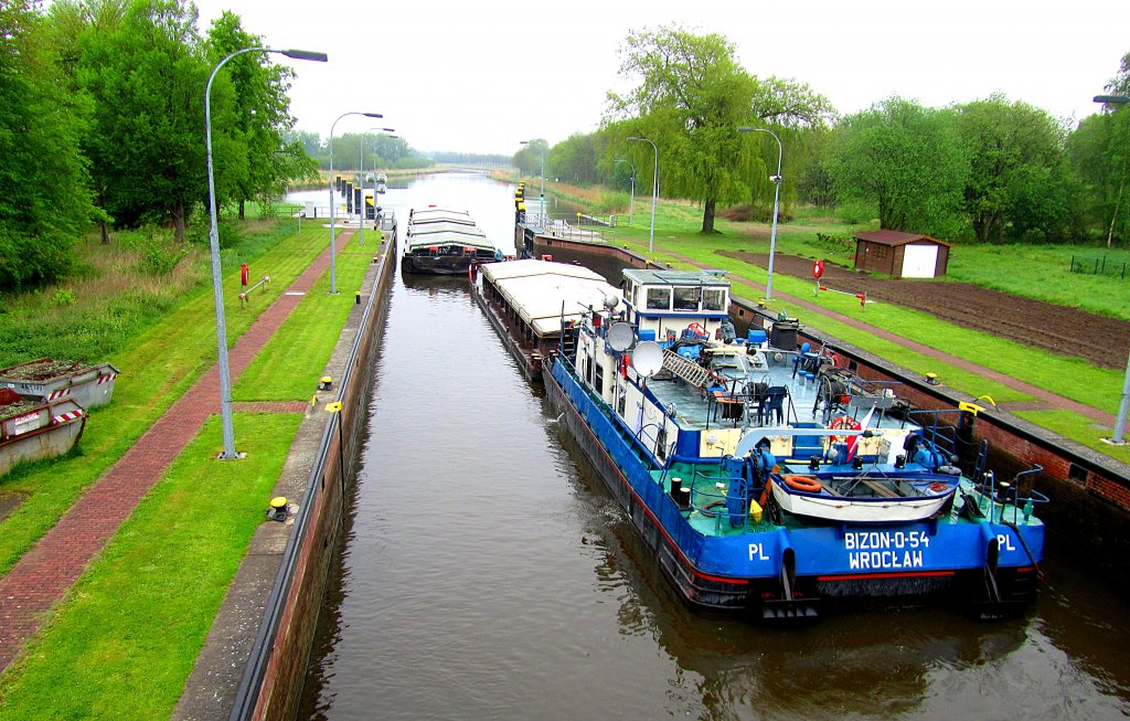 SCHUBER BIZON-0-54 ENI 08355164, hat seinen Doppelleichter bereits angeschoben und koppelt den 3.Leichter beim Verlassen der Lbeck-Bssauer ELK-Schleuse mit an, um seine Fahrt zu Nordgetreide in Lbeck-Schlutup fortzufhren... Aughenommen: 10.5.2012