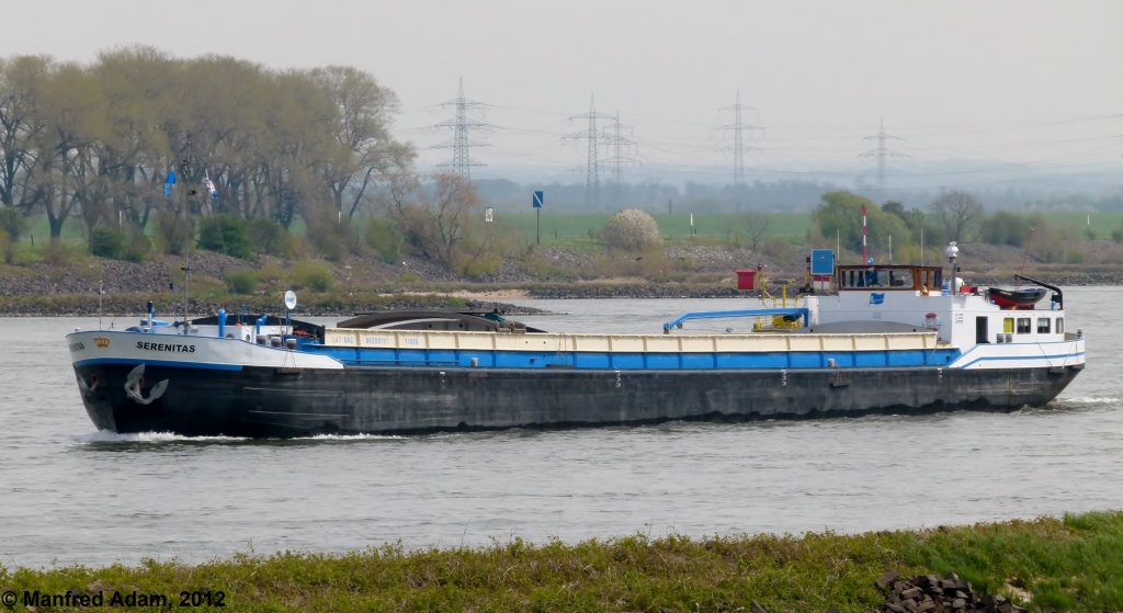 Serenitas (ENI 06000131) am 17.04.2012 auf dem Rhein talfahrend in Hhe der Hafeneinfahrt Krefeld. Daten der Serenitas: Lnge: 67,0 m; Breite: 8,2 m; Tiefgang: 2,62 m; Tonnage: 1000 t; Leistung: 434 kW; Baujahr: 1960.