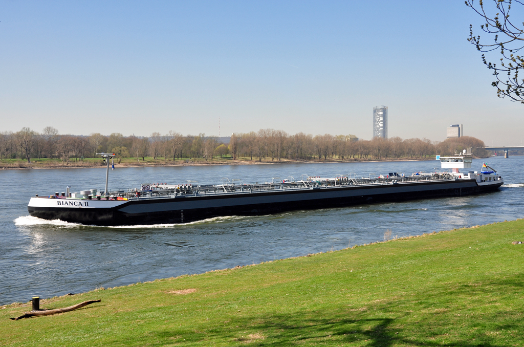 Tanker  Bianca II  nahe am Rheinufer bei Oberkassel - 26.03.2012