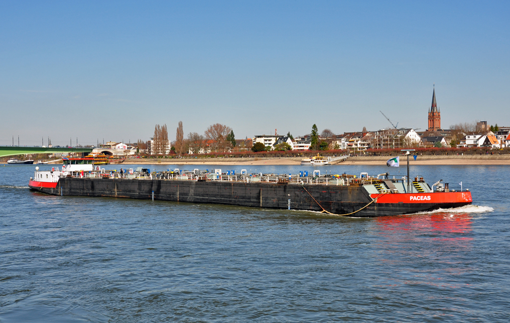 Tankschiff  PACEAS  vor der Kulisse von Bonn-Beuel - 20.03.2011