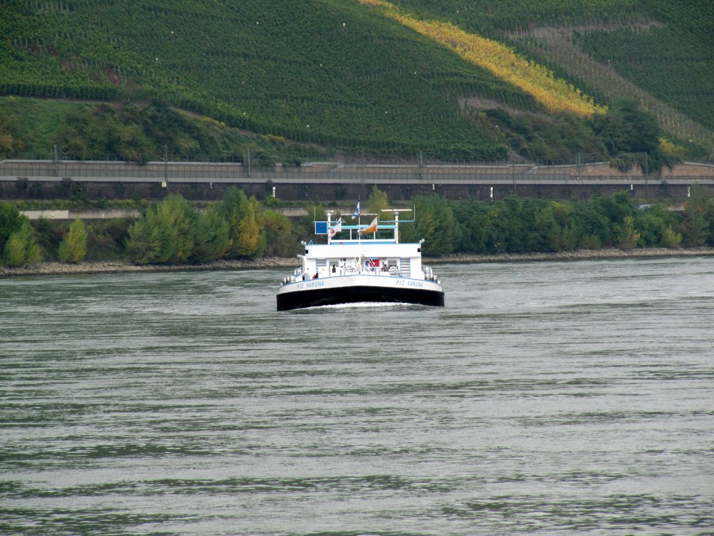 TMS Piz Varuna am 07.10.2010 auf Bergfahrt bei Filsen / Rhein.