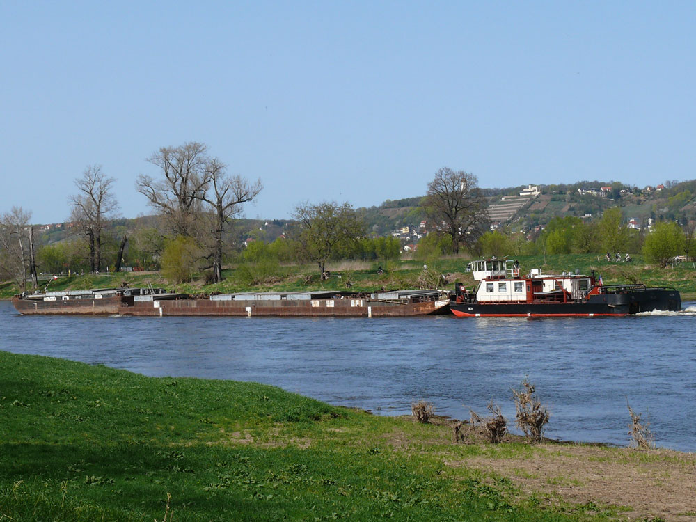 Tschechischer Schubverband mit CSPL TR 21 und zwei SL die Elbe zu Tal bei Dresden-Gohlis; 10.04.2011
