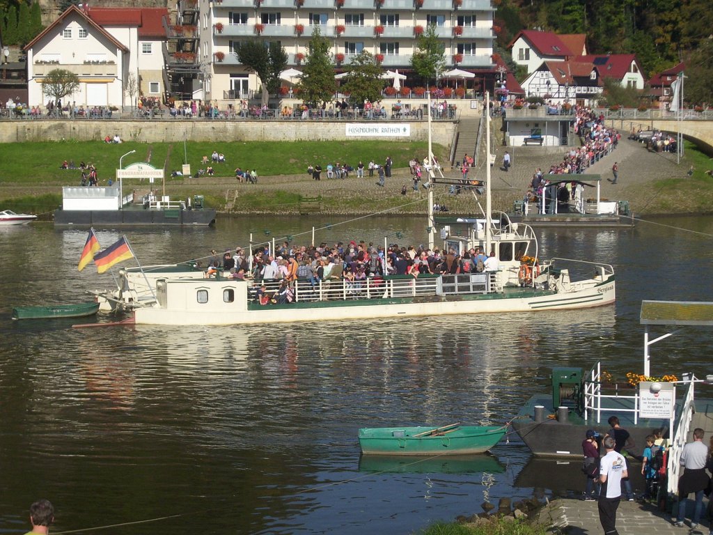 berfllte Fhre  Bergland  in Rathen am 03.10.2012 (Schlange auf andere Seite der Elbe, beidseitig)