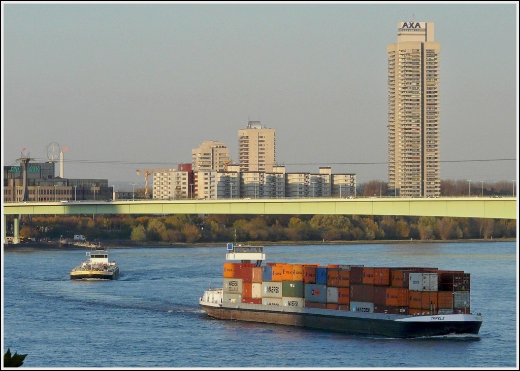 Voll mit Container beladen fhrt das Schiff  TRIFELS  auf dem Rhein in Kln der untergehenden Sonne entgegen.