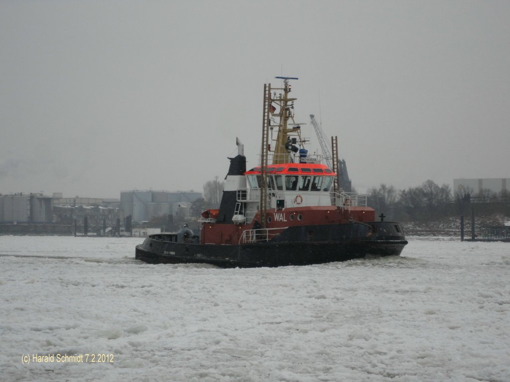 WAL (2) (1992) IMO 9036258  am 7.2.2012Hamburg,  auf der vereisten Elbe Hhe berseebrcke, 
VSP Schlepper / La 31,57 m, B 10,22 m, Tg 5,35 m / GT 229 / 2x MaK 8 M 332 C, ges. 4315 PS, 2x VSP 28 G II / 185, 12 kn, Pfahlzug 46 t /  1992 bei Deutsche Industriewerke Berlin / Bugsier, Hamburg
