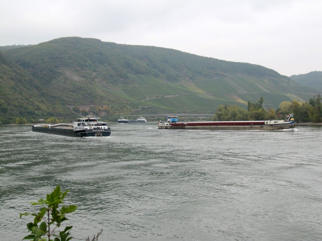 Zeitweilig reger Schiffsverkehr auf dem Rhein im Bereicg Filsen / Boppard. 07.10.2010