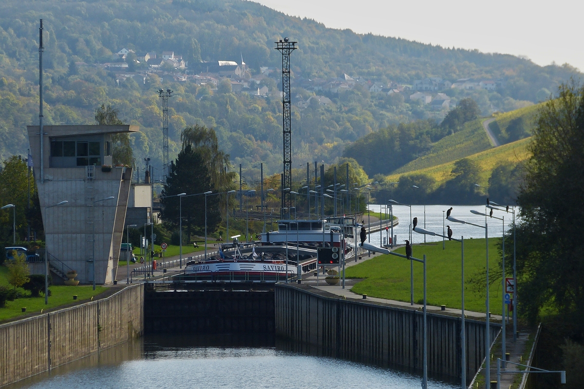 . Die Schleuse von Appach im Dreiländereck, Deutschland - Luxemburg - Frankreich befindet sich noch auf französichem Gebiet. Das Frachtschiff  Saviro  liegt in der Schleuse und wir nach dem absenken des Wasserspiegels in kürze die Schleuse verlassen. 19.10.2014