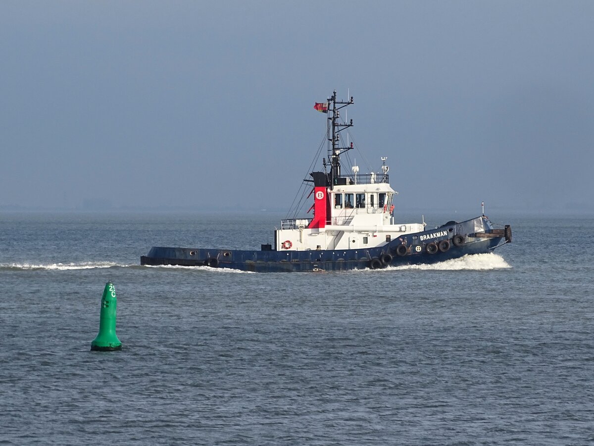  Die Tug  BRAAKMAN  - Westerschelde Terneuzen (NL) - 19-04-2023