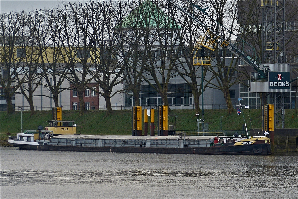 . Frachter „Tara“, Bj 1943; ENI 4018760; L 67 m; B 8,20 m; Heimathafen: Pappenburg; liegt in Bremen am Entlade Kai einer großen Brauerei.  11.04.2018  (Hans)