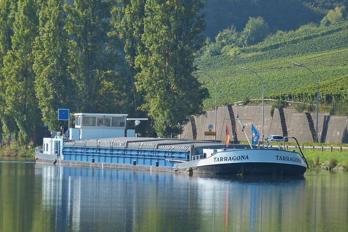 . Frachter Tarragona, ENI 06003477, L 85 m; B 9,08 m; T 1509; muß vor der Schleusseneinfahrt in Grevenmacher warten bis ein anderes Schiff die Schleuse verlassen hat.  17.09.2014  