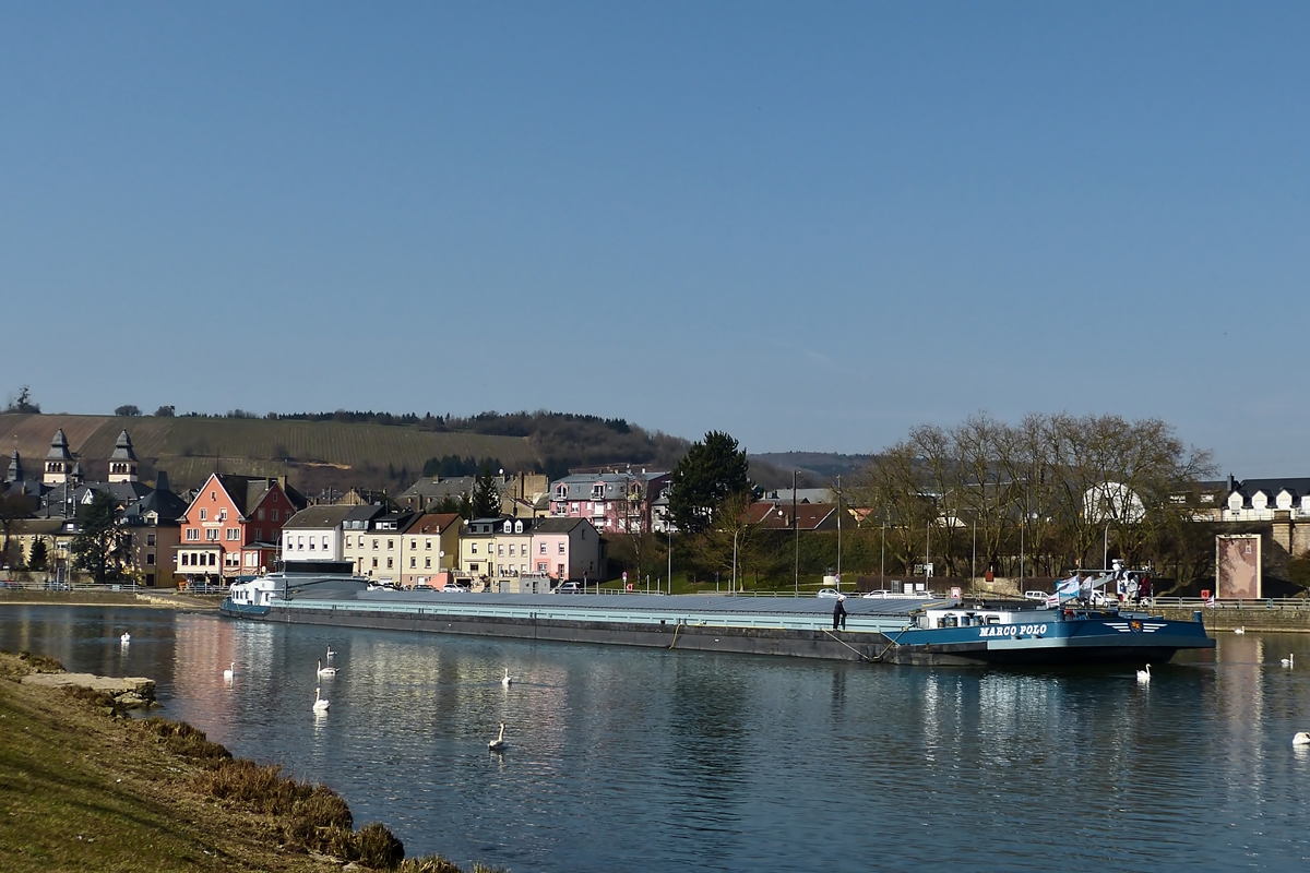 .  GMS  MARCO POLO EU Nr. 02327327; Bj 2005; Flagge  NL; L 135 m; B  11,45 m; Tiefgang 3,50 m;  gesehen auf der Mosel nahe Wasserbillig am 17.03.2015.