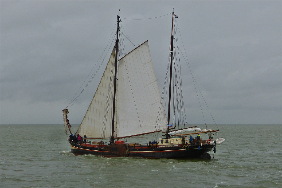 . Segelschiff „Jeppe van Schier“ gebaut im Jahr 1903 als Frachtschiff bei der Firma Boot te Leiderdorp, seit 2007 ist es als Personenschiff auf dem Ijsselmeer unterwegs, bei Tagesausflügen bietet es 35 Personen Platz, bei Mehrtagesfahrten nimmt es bis zu 28 Personen mit; L 37,50 m; B 6,50 m; Segelfläche 300 m²;  Heimathafen Schiermonnikoog, ehemaliger Name „Noord Friesland“.  29.09.2016