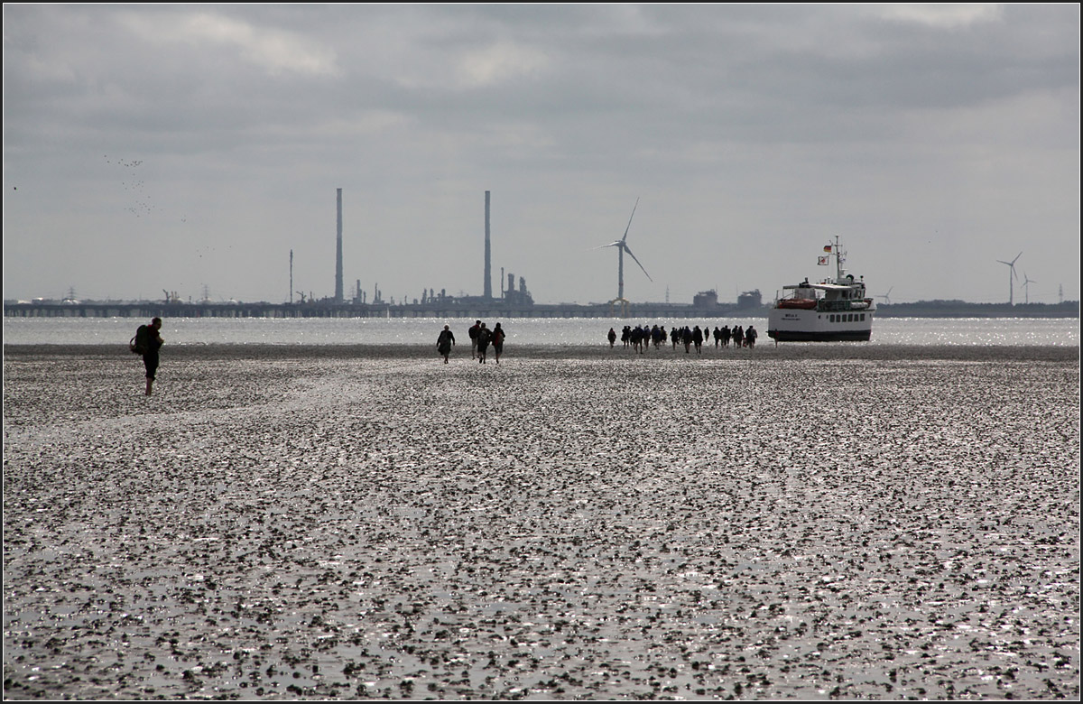 . Zurück zum Schiff -

Über das Watt und das schon auflaufende Wasser gelangen die Exkursionsteilnehmer von der Insel Mellum zurück zur Wega II. Das Fahrgastschiff Wega II hatte auf dem Wattboden aufgesetzt und sich trockenlaufen lassen. Einen Anleger gibt es auf der Insel Mellum nicht.

08.08.2015 (M)