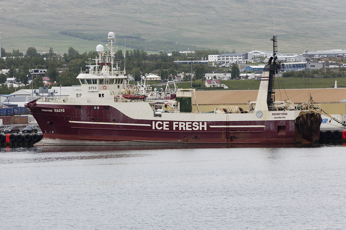 14.06.2017, Akureyri, Oddeyrin, EA 210, IMO 9188565 





