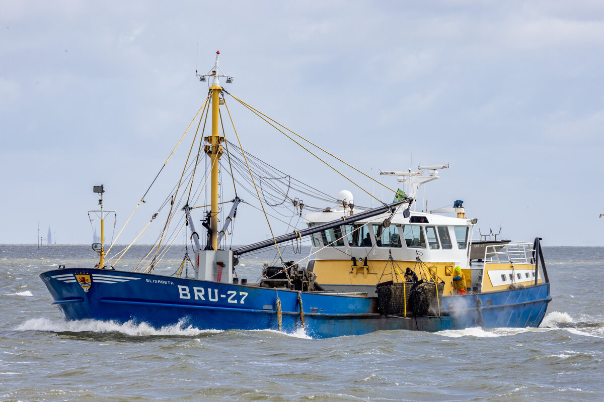 16.5.2023 - Wattenmeer vor Terschelling. Fischereifahrzeug  Elisabeth . BRU-27