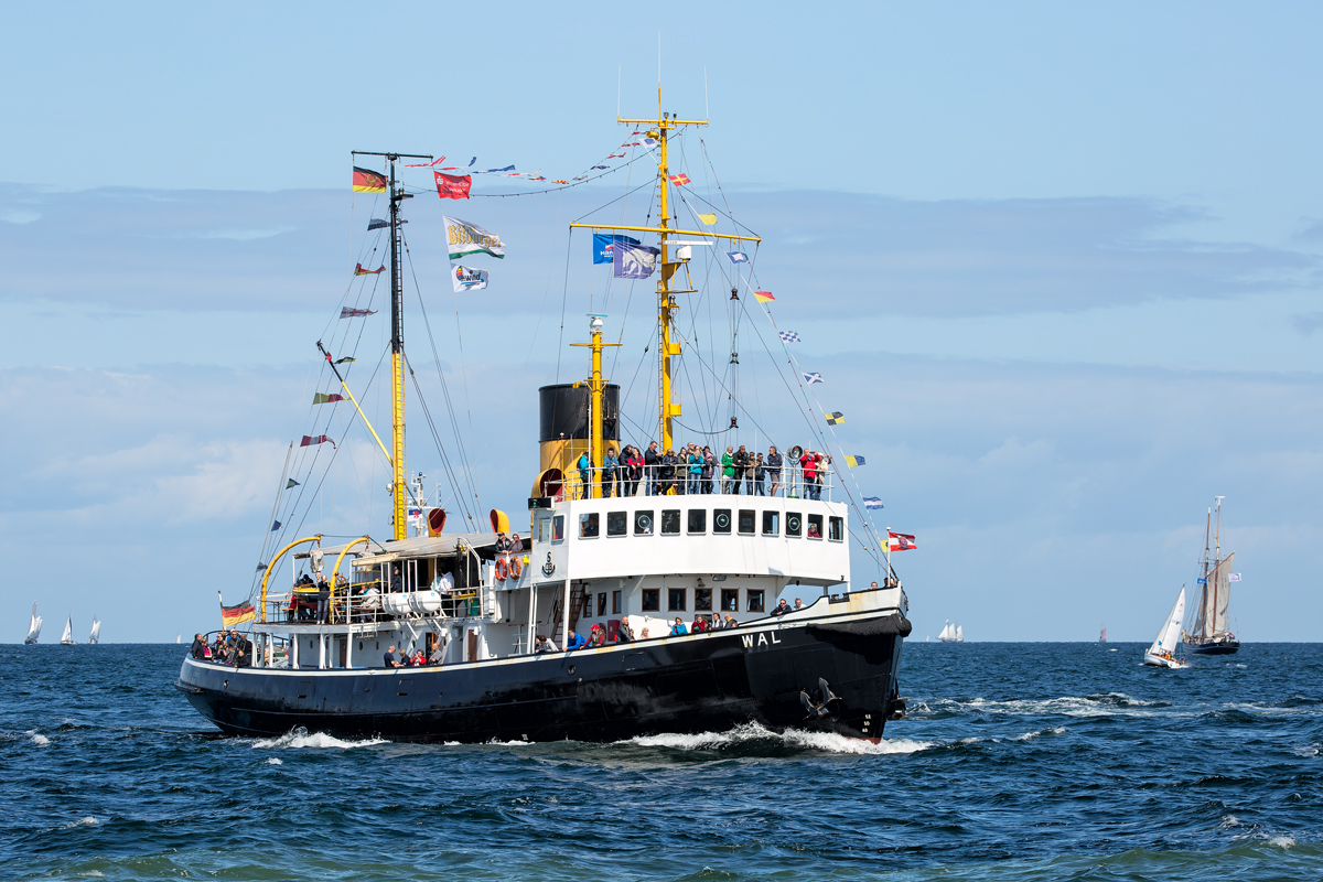27. Hanse-Sail mit dem Traditions-Dampfeisbrecher „Wal” vor Warnemünde. - 13.08.2017
