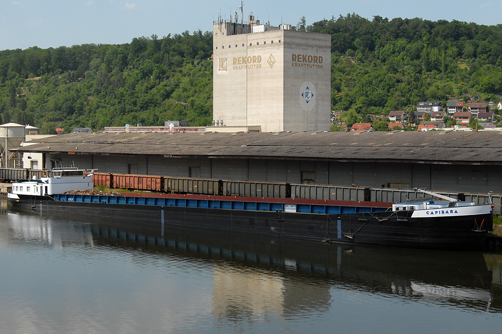 29.05.2017 Die CAPIBARA (232344) in Plochingen