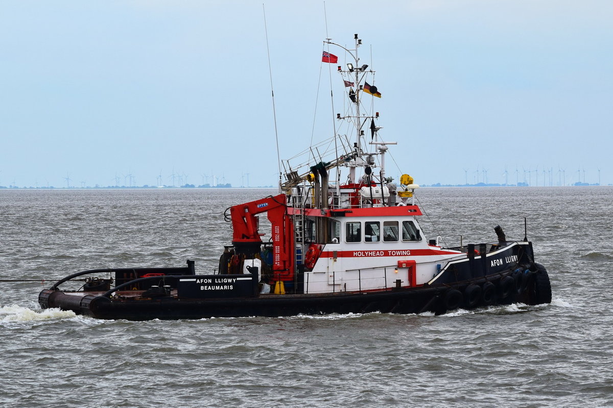 Afon Lligwy , Schlepper , IMO 9266384 , Baujahr 2002 , 22.35 × 8m , Cuxhaven , 16.05.2019