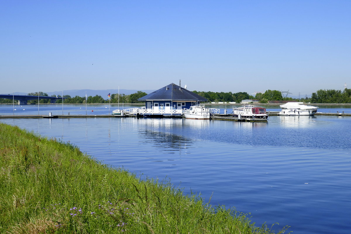 Altenheimer WasserSportClub AWSC bei Rhein-Km 284, am Horizont die Vogesen, Mai 2020