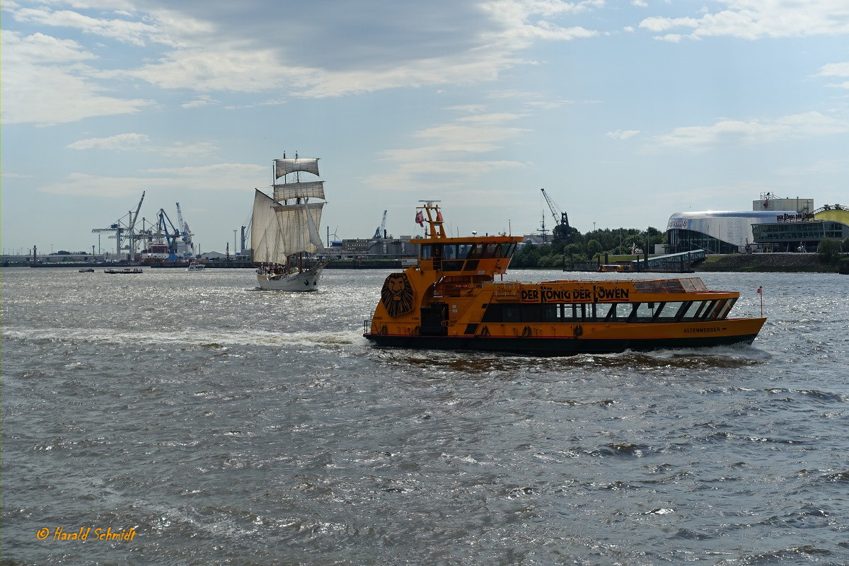 ALTENWERDER (3) (ENI 051 16370), Einmann-Fährschiff Typ 2000 der HADAG und der 3-Mastmarstoppsegelschoner MARE FRISIUM (IMO 5344592) am 14.6.2019, Hamburg, Elbe Höhe Überseebrücke /