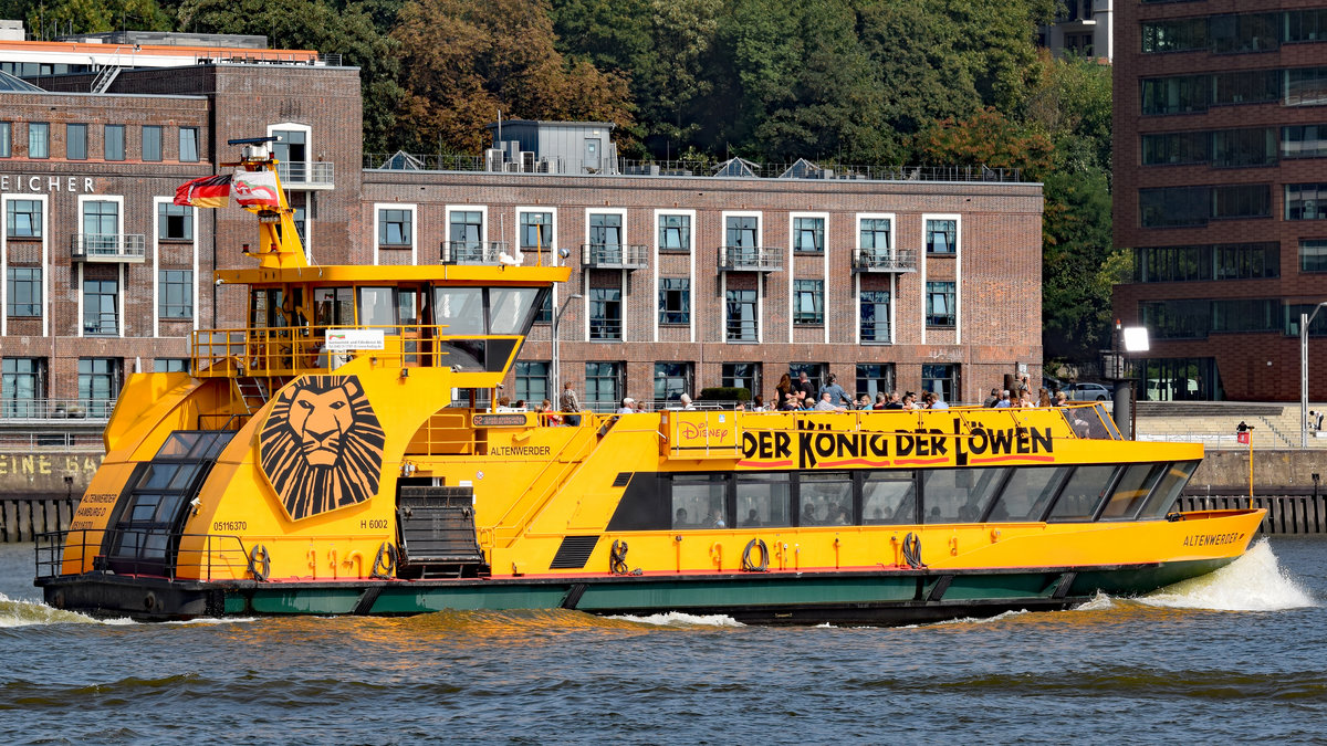 ALTENWERDER (3) (ENI 051 16370) am 3.9.2018 im Hafen von Hamburg