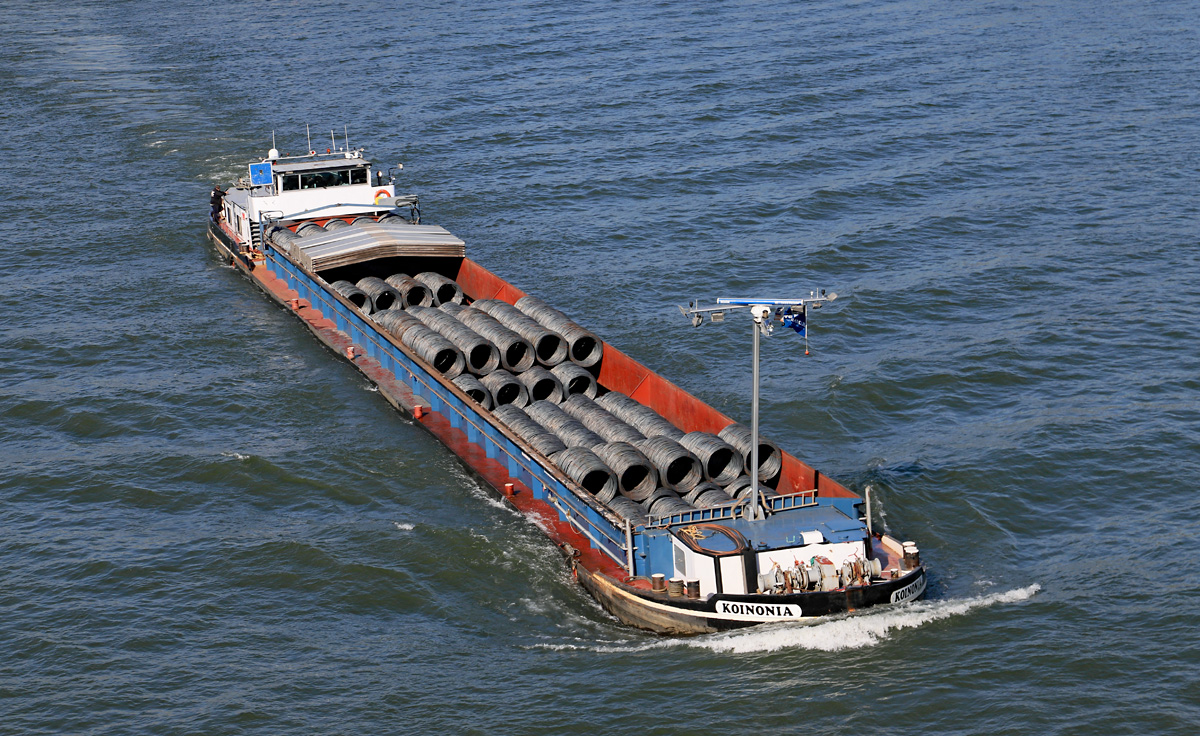 Am 09.03.2022war die GMS KOINONIA (02320325) auf dem Rhein bergfahrend unterwegs, die Drahtrollen scheinen doch ein ordentliches Gewicht zu haben. Von der Deutzer Brücke in Köln war das 60 Jahre alte Schiff in voller Schönheit zu betrachten.