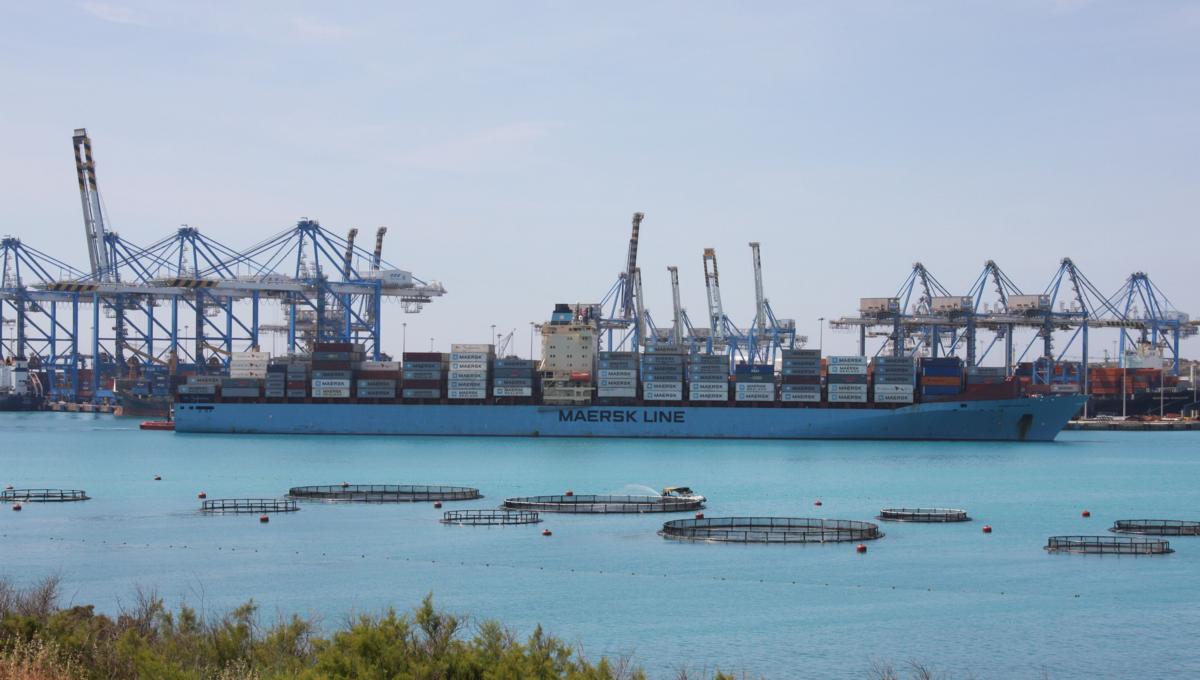 Am 12.5.2014 fotografierte ich im Container Hafen von Malta bei Birzebugga. Dort wurde gerade die Maersk Brooklyn beladen. Das Container Schiff ist 294 m lang und 32 m breit. Es fährt unter dänischer Flagge und hat 48853 BRZ.
Baujahr: 2007