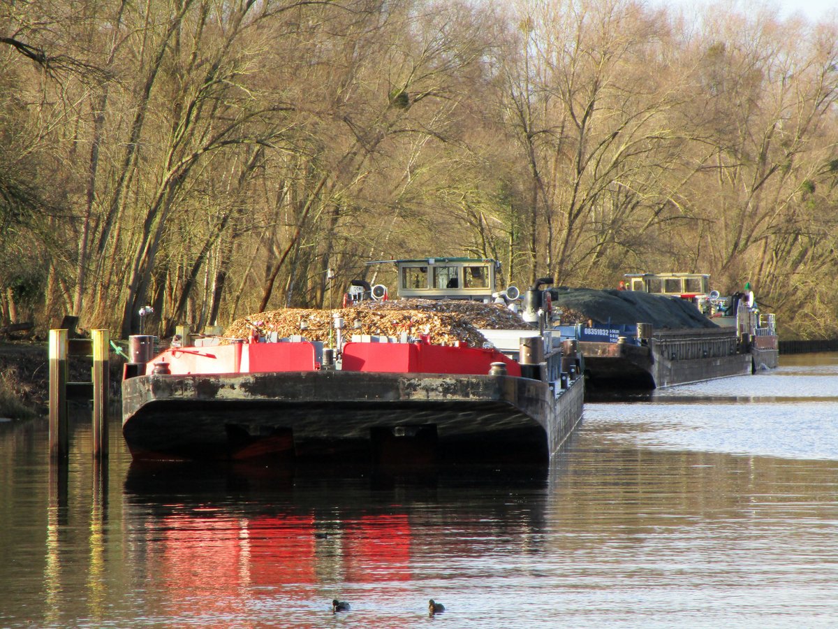 Am 28.01.2020 warteten die Schubboote Bizon-0-118 (08355099) u. Bizon-0-96 (08356117) im Unterwasser der Schleuse Kleinmachnow / Teltowkanal auf die Bergschleusung.