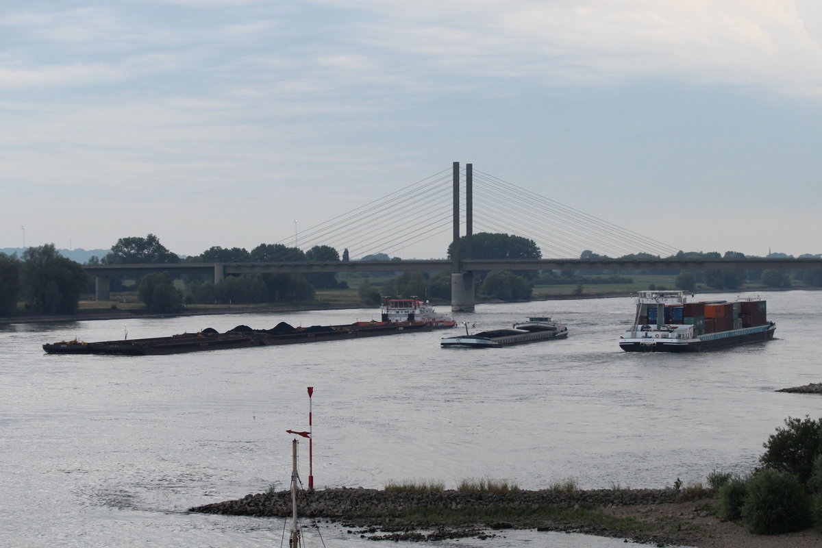 Am Abend des 06.07.2017 entstand dieses Foto zw.der Rheinbrücke Kalkar/Rees und Rees. GMS Caronia (02326661 , 135 x 15,15m) fährt zu Tal Richtung Niederlande. GMS Dei Voluntas (06004002 , 109,82 x 11,40m) überholt zu Berg den Schubverband Veerhaven VII (02319631 , 40 x 15m) mit einer Gesamtlänge von 269,5m. 