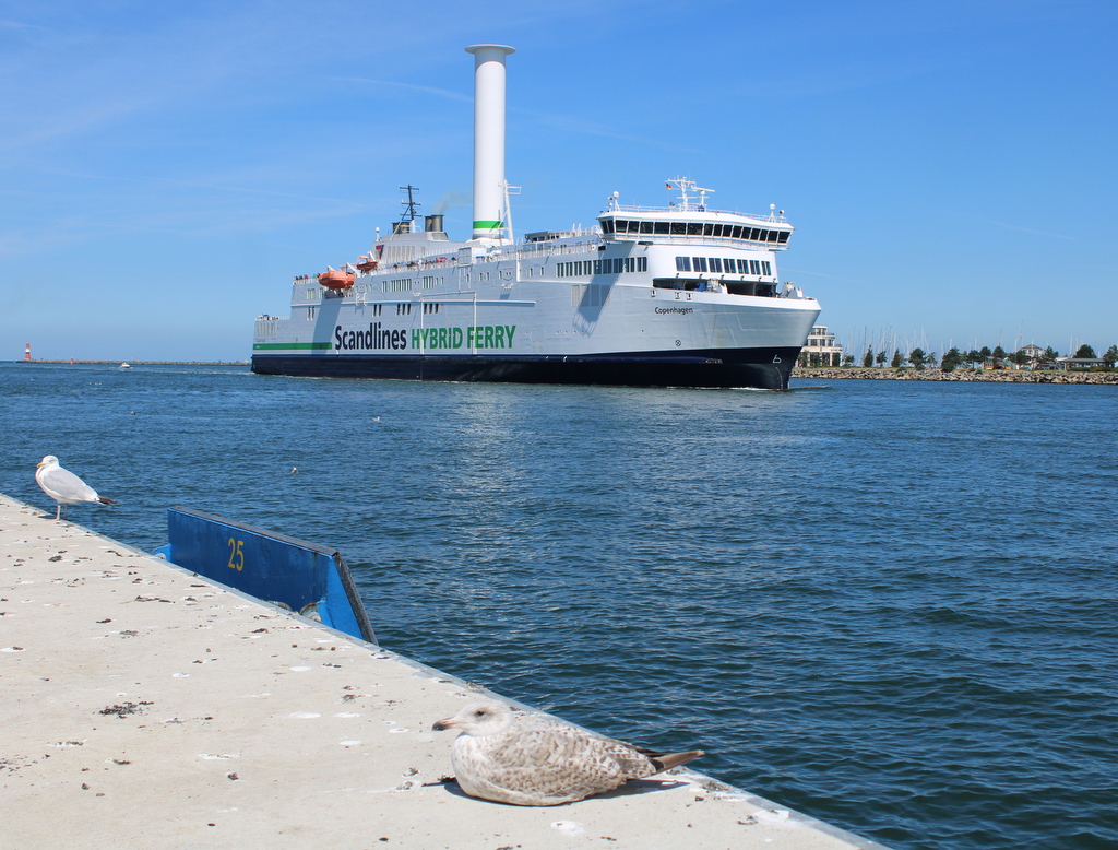 Am Nachmittag des 31.07.2020 machte Kollege Fischbrötchen Dieb in Warnemünde ne Pause als im Hintergrund die COPENHAGEN rein kam.