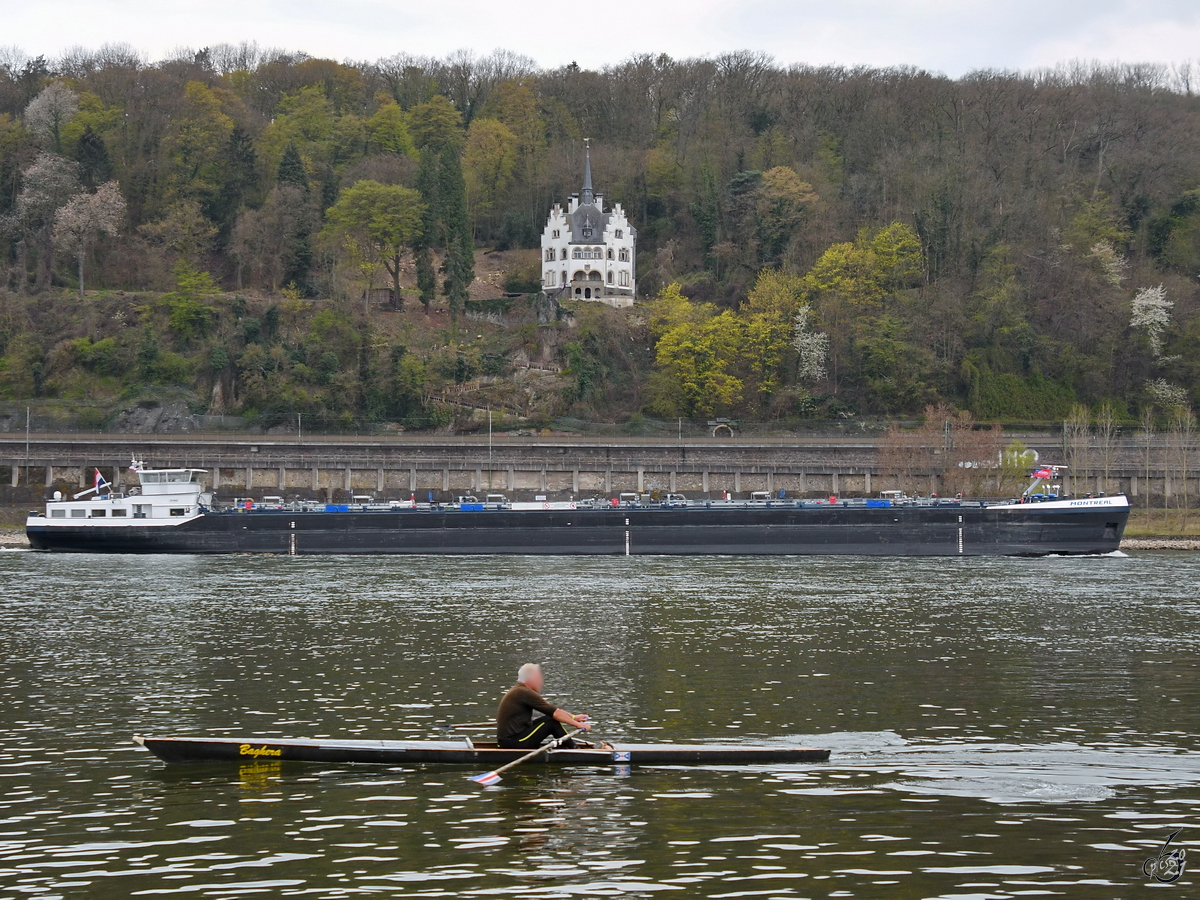 Anfang April 2021 war auf dem Rhein bei Remagen neben einem einsamen Ruderer das Tankmotorschiff MONTREAL (ENI: 02333685) zu sehen.