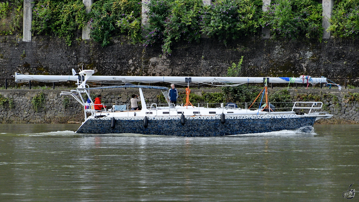 Anfang August 2021 fuhr die Segeljacht SUNFLOWER bei Remagen mit ihrem (Hilfs)motor langsam rheinabwärts.