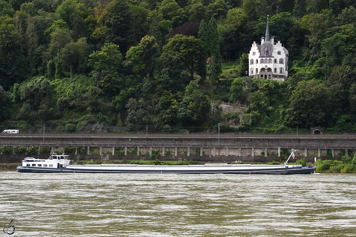 Anfang August 2021 war auf dem Rhein bei Remagen das Gütermotorschiff EVIDENT (ENI: 02318773) zu sehen.