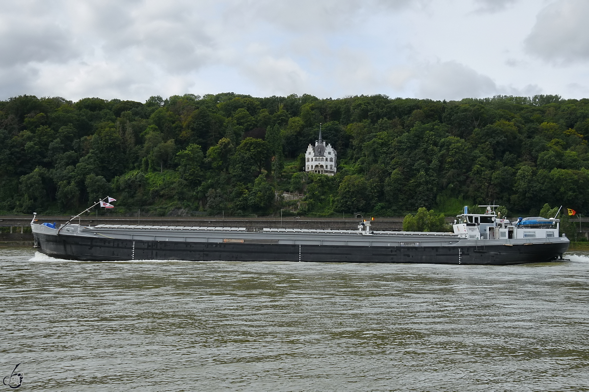 Anfang August 2021 war das Gütermotorschiff AHEAD (ENI: 02203774) auf dem Rhein bei Remagen zu sehen.