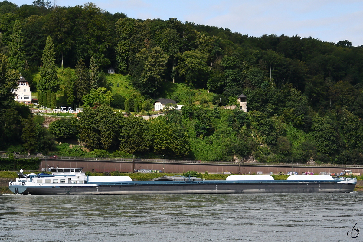 Anfang August 2021 war das Gütermotorschiff ALJA (ENI: 02331320) auf dem Rhein bei Remagen zu sehen.