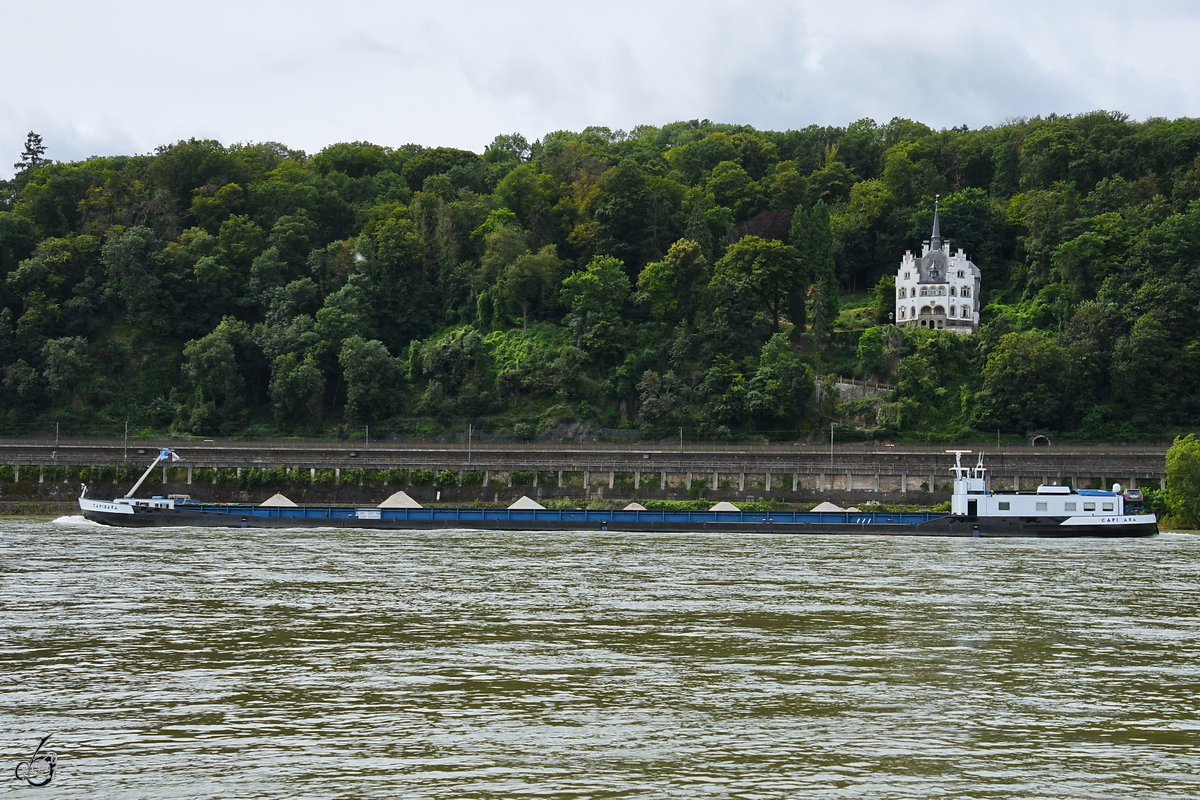 Anfang August 2021 war das Gütermotorschiff CAPIBARA (ENI: 02323443) auf dem Rhein bei Remagen zu sehen. 