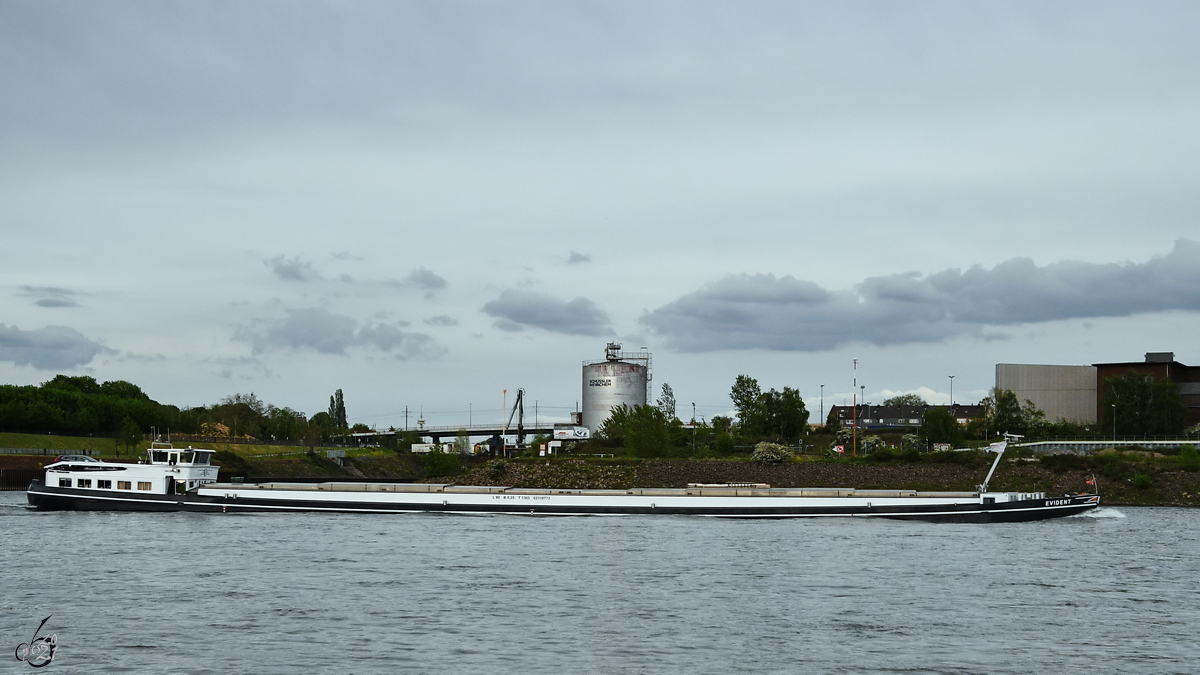 Anfang Mai 2021 war auf dem Rhein bei Duisburg das Gütermotorschiff EVIDENT (ENI: 02318773) zu sehen.