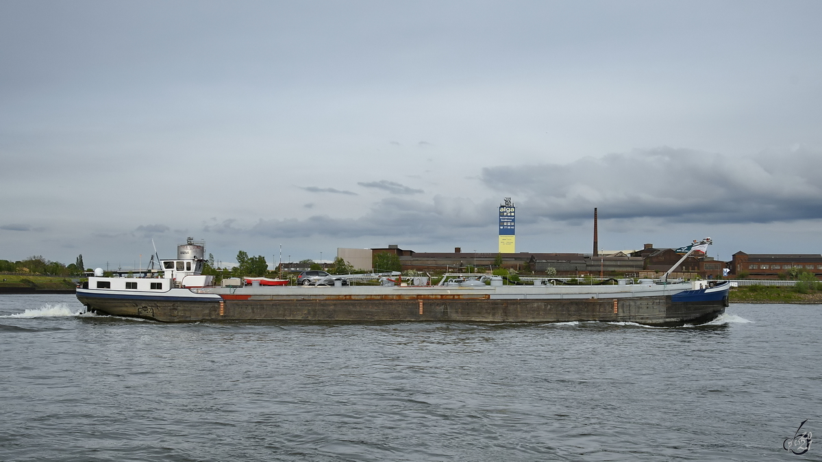 Anfang Mai 2021 war auf dem Rhein bei Duisburg der Pulvertanker TRYPA (ENI: 03270638) zu sehen.