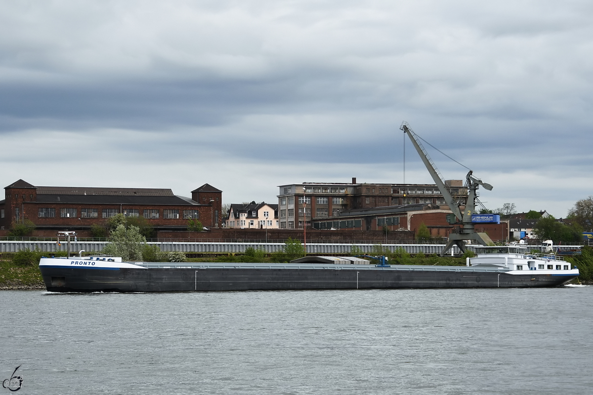 Anfang Mai 2021 war auf dem Rhein bei Duisburg das Gütermotorschiff PRONTO (ENI: 02330403) zu sehen.