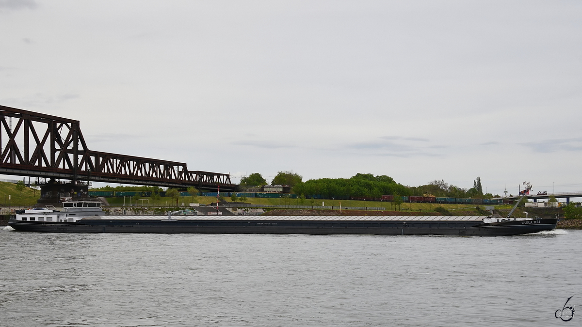 Anfang Mai 2021 war das Gütermotorschiff CURA DÉI (ENI: 02326126) auf dem Rhein bei Duisburg zu sehen.