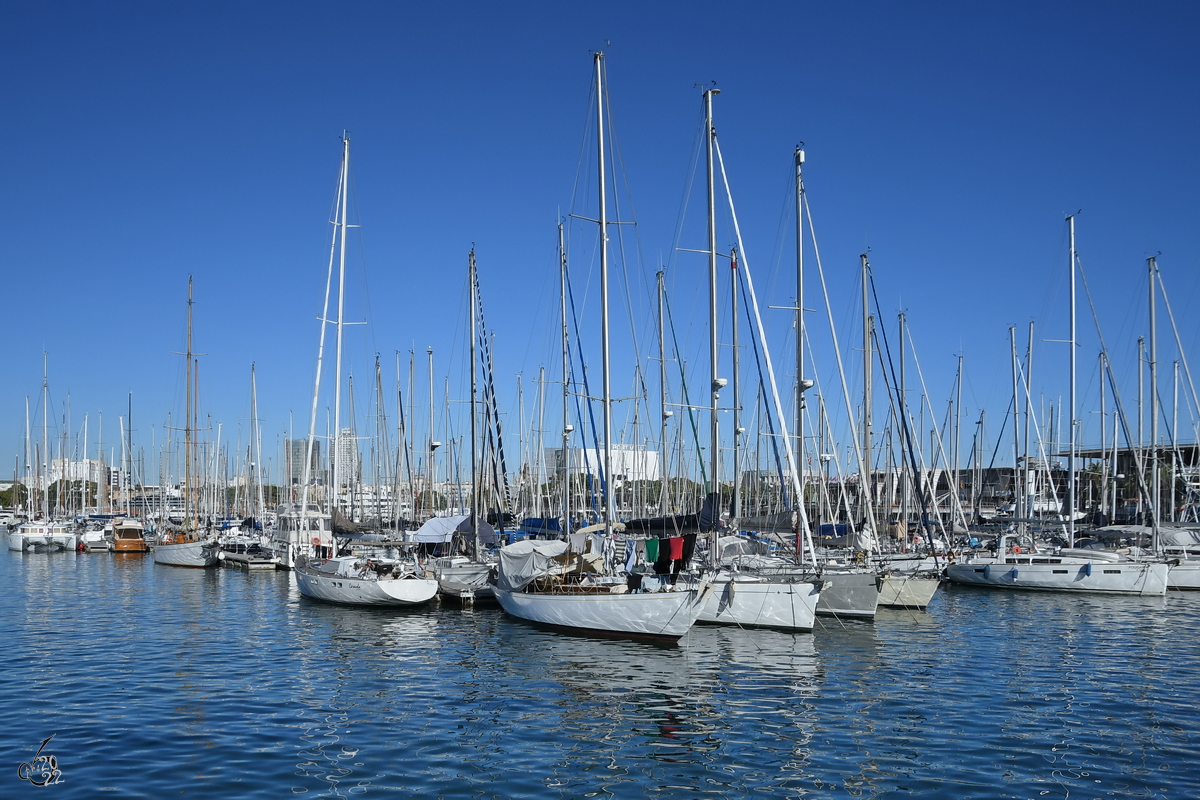 Anfang November 2022 waren jede Menge Segelboote im Stadthafen von Barcelona zu sehen.