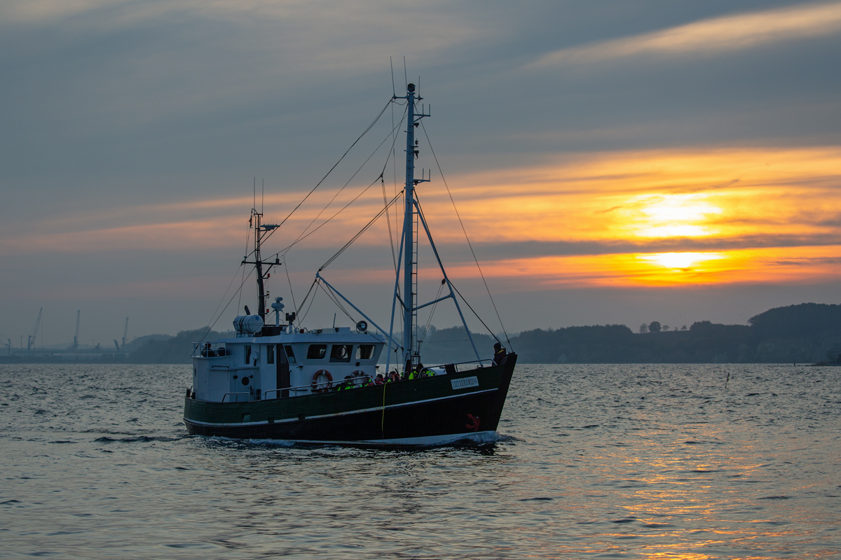 Angelkutter „Tietverdriew“ einlaufend in den Sassnitzer Hafen bei herbstlichem Licht  . - 31.10.2021