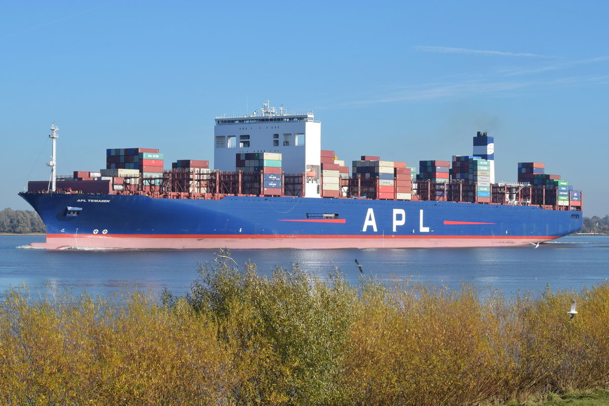 APL TEMASEK , Containerschiff , IMO 9631955 , Baujahr 2013 , 397.88 × 51m , 14000 TEU ,03.11.2018  Grünendeich