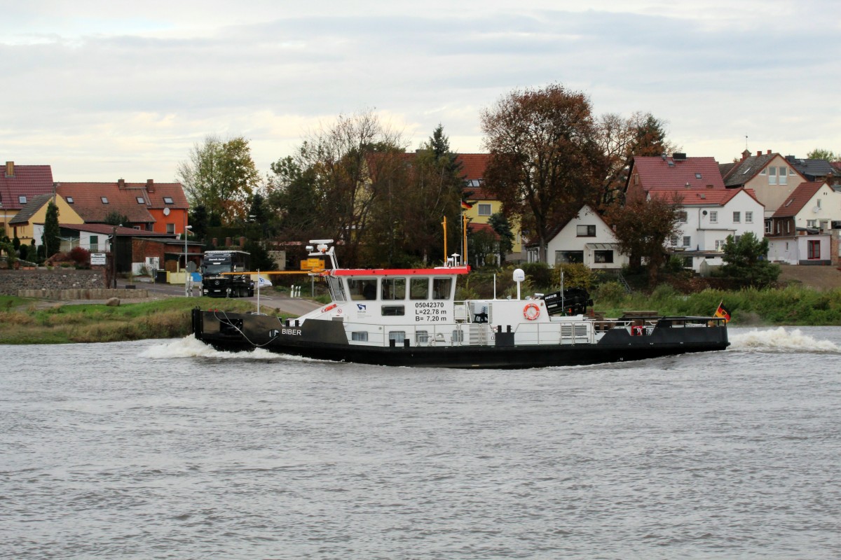 Arbeitsschiff Biber mit Eisbrecher-Funktion , 05042370 , 22,78 x 7,20 , am 03.11.2014 ist das Schiff der WSV Magdeburg bei Rogätz auf der Elbe auf Bergfahrt.